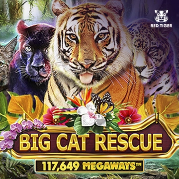 Redtiger : Big Cat Rescue Megaways - HUNIAN138