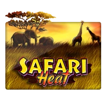 Safari Heat - HUNIAN138