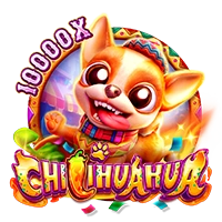 CHILIHUAHUA - HUNIAN138